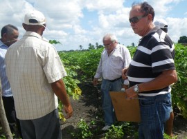 Ozorio 06 02 2013 2481 270x202 - Governo estimula controle natural de pragas em plantações de hortaliças e frutas na Paraíba