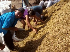 distribuiçao de raçao animal foto secom pb 111 270x202 - Governo distribui mais de 800 toneladas de ração e beneficia 3,5 mil criadores