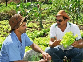 emater IX semana de alimentos organicos 1 270x202 - Governo do Estado comemora Semana de Alimentos Orgânicos