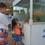 empasa distribuicao de alevinos em sousa aquario  (3)