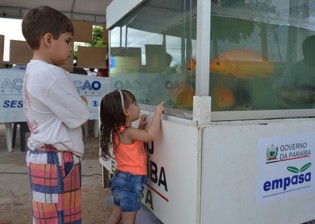 empasa distribuicao de alevinos em sousa aquario  (3)