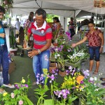 empasa_feira_de_flores_foto_kleide_teixeira_138