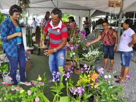 empasa feira de flores foto kleide teixeira 1381 270x202 - Feira de Flores com preços populares movimenta Empasa na Capital