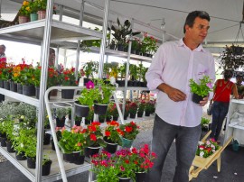 empasa feira de flores foto kleide teixeira 19 270x202 - Feira de Flores com preços populares movimenta Empasa na Capital