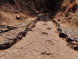 pegadas do vale dos dinossauros em sousa 6 270x202 - Revitalização do Vale dos Dinossauros é concluída e preserva sítio arqueológico