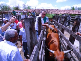 17.11.11 vacina contra febre aftosa 1 270x202 - Campanha de vacinação contra febre aftosa termina próximo dia 21