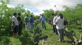 emater agricultores de santa cecilia INSA estiagem semiarido 1 270x151 - Agricultores conhecem ações de convivência com estiagem no semiárido