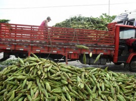 empasa libera comercio do milho verde 21 270x202 - Vendas de milho verde movimentam entrepostos da Empasa