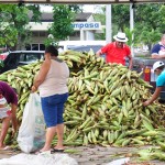 empasa_milho_verde_foto_josé_lins_02