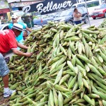 empasa_milho_verde_foto_josé_lins_08