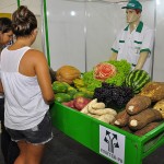 05.07.13 feira brasil mostra brasil_fotos roberto guedes secom pb (5)