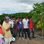 10.07.13 agricultores_sao_preparados_pelo_governo_comercial (1)