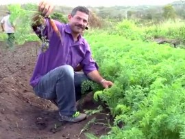 16.07.13 agricultores esperanca francinaldo na produção 4 270x202 - Governo apoia produção sem agrotóxicos em Esperança