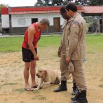 22.07.13 bombeiros_recebe_caes (1)