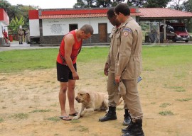 22.07.13 bombeiros recebe caes 11 270x192 -  Corpo de Bombeiros adquire cães para operações de resgate de vítimas