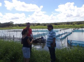 28.06.13 governo instalar criatorio peixe pirarucuemba 21 270x202 - Governo pretende ampliar criatório de peixe em Bananeiras