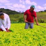 agricultura familiar foto jose marques secom pb_5