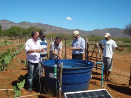 emater producao de palma irrigadausando energia solar 1 270x202 - Produção de palma irrigada usando energia solar é modelo para Nordeste