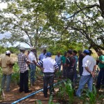 emater producao de racao animal com sistema de irrigacao benefica agricultor familiar (1)