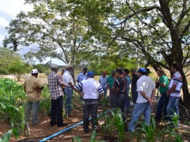 emater producao de racao animal com sistema de irrigacao benefica agricultor familiar 11 270x202 - Produção de ração animal com sistema de irrigação beneficia agricultor familiar