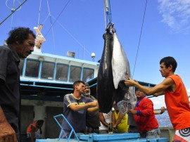 empreender barco foto kleide teixeira 104 270x202 - Governo apoia pesca e resultados animam cooperativa de Cabedelo