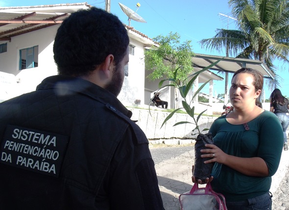 mudas 1 - Seap entrega mudas de árvores nativas para familiares de detentos em Campina Grande