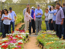 AREIA COOPERATIVA DE FLORES 16 270x202 - Ricardo conhece produção de polpa de frutas e flores financiadas pelo Cooperar