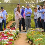 AREIA-COOPERATIVA DE FLORES (16)