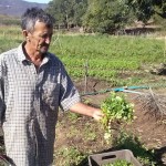 emater agricultor do semiarido aumenta producao de hortalicas Cajazeinha (1)