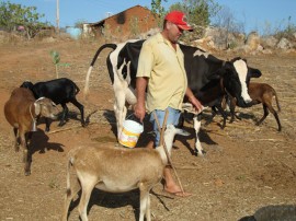 emater familia vive em menos de um hectare 1 270x202 - Governo incentiva agricultura familiar no Sertão paraibano