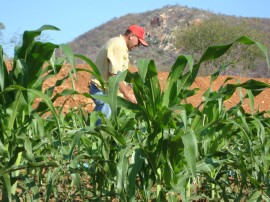 emater familia vive em menos de um hectare 4 270x202 - Governo incentiva agricultura familiar no Sertão paraibano