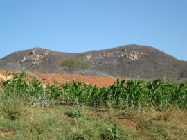 emater familia vive em menos de um hectare 5 270x202 - Governo incentiva agricultura familiar no Sertão paraibano