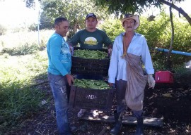 emater coremas11 270x192 - Produção familiar garante renda para agricultores do Sertão