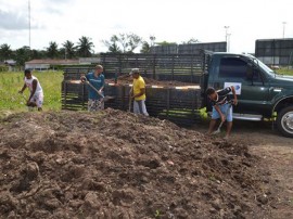 empasa compstagem foto alex marcio 1 270x202 - Projeto de compostagem da Empasa beneficia agricultores do Litoral Sul