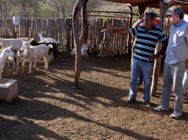 quixaba  preacas  foto francisco frança 1 270x202 - Sítios recebem governador pela 1ª vez e mostram sucesso na caprinocultura