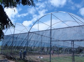 06.09.13 cooperar viabiliza construcao estufa 1 270x202 - Cooperar viabiliza construção de estufa para agricultores de Pitimbu