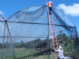 06.09.13 cooperar viabiliza construcao estufa 2 270x202 - Cooperar viabiliza construção de estufa para agricultores de Pitimbu