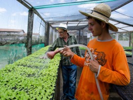 26 emater agricultura familiar nova floresta 261 270x202 - Emater completa 58 anos com ações de inclusão produtiva e social para agricultores