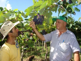 30.09.13 emater completa58anos mais perto agricultores 2 270x202 - Emater completa 58 anos com ações de inclusão produtiva e social para agricultores