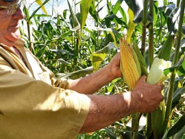 Foto Antonio David 0 7 270x202 - Emater completa 58 anos com ações de inclusão produtiva e social para agricultores