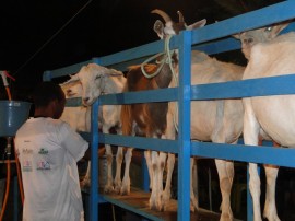 emater pb destaque na assembleia do maranhao sobre caprinocultura 1 270x202 - Trabalho da Emater com caprinocultura é destaque na AL do Maranhão