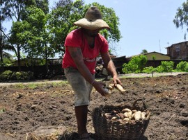 seap presidio colonia agricula foto antonio david (29)