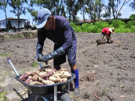 seap presidio colonia agricula foto antonio david (42)