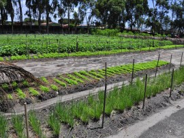 seap presidio colonia agricula foto antonio david (49)