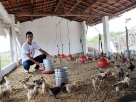 15.03.13 jovem larga emprego comercio criar galinha apoio emater 1 portal 270x202 - Governo investe mais de R$ 350 milhões no desenvolvimento da agropecuária