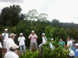 emater agricultores de esperanca querem expandir plantiu de laranja 1 270x202 - Agricultores de Esperança querem expandir produção de laranja