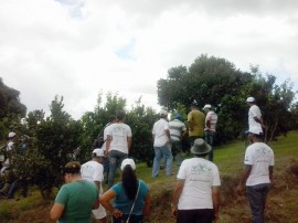 emater agricultores de esperanca querem expandir plantiu de laranja 2 270x202 - Agricultores de Esperança querem expandir produção de laranja