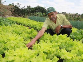 emater dia de campo massaranduba 7 270x202 - Governo investe mais de R$ 350 milhões no desenvolvimento da agropecuária