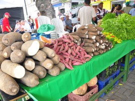 emater dia mundial da alimentacao ponto de cem reis foto jose lins 17 270x202 - Governo comemora Dia Mundial da Alimentação com atividades na Capital