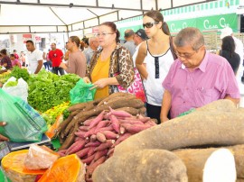 emater dia mundial da alimentacao ponto de cem reis foto jose lins 52 270x202 - Governo comemora Dia Mundial da Alimentação com atividades na Capital